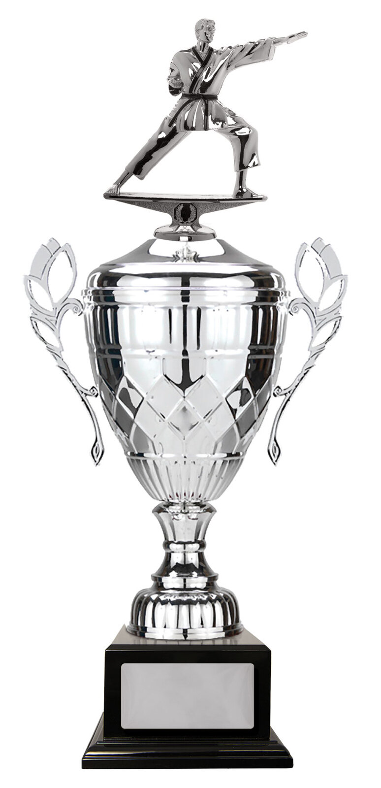 Whopper CupMartial Arts