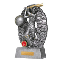Crash Through Cricket Batter Female