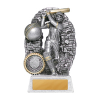 1010-1BATMB: Crash Through Cricket Batter Male