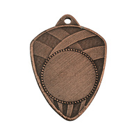 1029BR: Medal