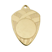1029GVP: Medal