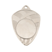 1029SVP: Medal