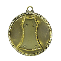 1066-8: Team Shirt Medal