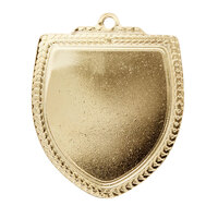 1067GVP: Shield Medal - Generic
