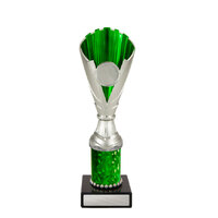 1116SGN-3: Norwood Cup