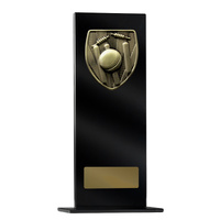 Black Glass Series-Cricket