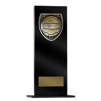 Black Glass Series-Netball
