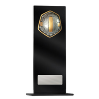 Black Glass Series-Netball