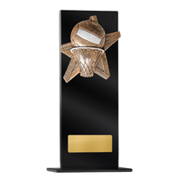 Black Glass Series-Netball