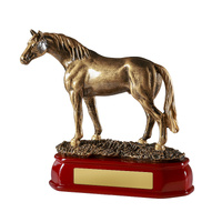 Horse Standing