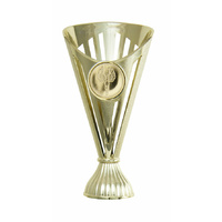 243G: Fan Cup 