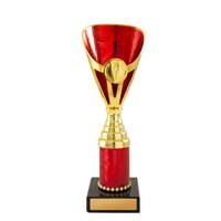 245GR-3: Arianna Cup