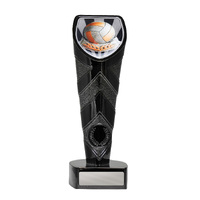 25BKD-CS13: Black Cobra Volleyball