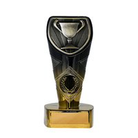 25GBKB-MS92G : Fusion Cobra-Achievement