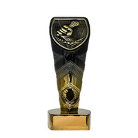 25GBKC-MS48G : Fusion Cobra Public Speaking