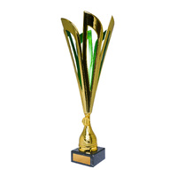 Mayflower Cup