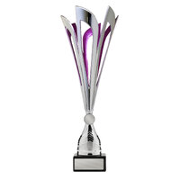 Mayflower Cup