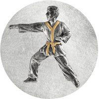 2DC-11M: MARTIAL ARTS GENERIC CENTRE 50MM