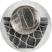 2DC-13G: VOLLEYBALL GENERIC CENTRE 50MM