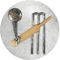 2DC-1G: CRICKET GENERIC CENTRE