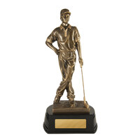312MB: The Pro  - Golf Male