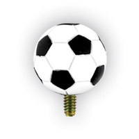 349WH: Football
