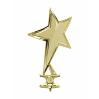 428G: Star