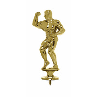 431G: Bodybuilding Figure-Male