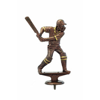 479BR: Batsman Figure