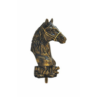 Horse Head