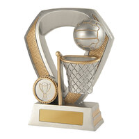 Shield Series  - Netball