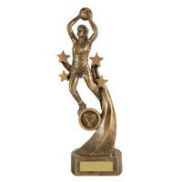 622-8D: Rebound-Netball