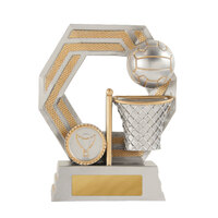 634-8C: Titan - Netball