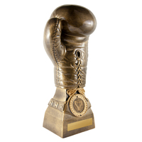Boxing Glove