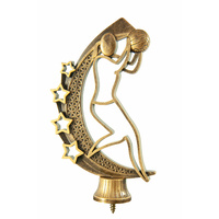 666AGG-8: Netball Figure