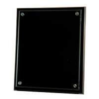 Plaque