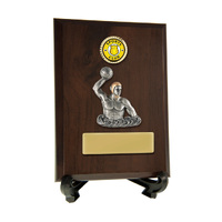 Plaque with Waterpolo M. Trim
