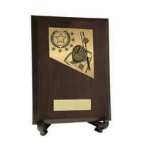Baseball Theme on Plaque