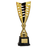 Mendoza Cup