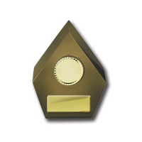 984-0MG: Summit-Arrow Gold