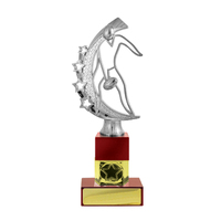 A24-2212: Male Aussie Rules on Column