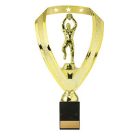 A24-2222: Male Aussie Rules on Column