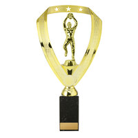 A24-2223: Male Aussie Rules on Column