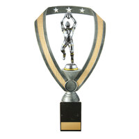 A24-2234: Male Aussie Rules on Column