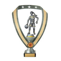 B24-1913 : Backstand/Base/Basketball F.