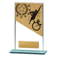 Swimming Theme on Glass