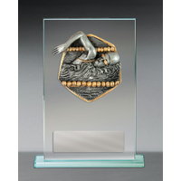 Swimming Theme on Glass