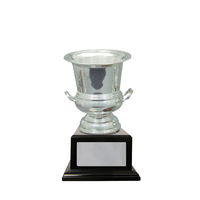 C21-5907-hero:Silver Plated Cup