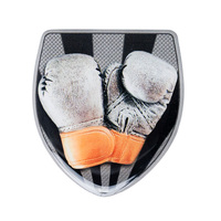 CS-32: 2D Shield Trim - Boxing