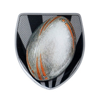 CS-6: 2D Shield Trim - Rugby